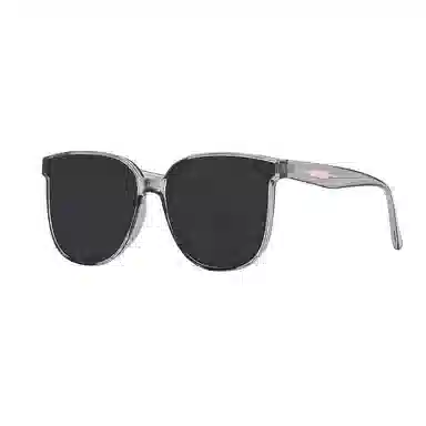 Wuxian Rabbit PC Round Sunglasses
