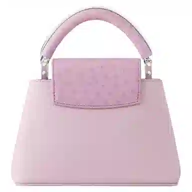 LOUIS VUITTON Capucines