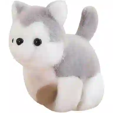 20cm