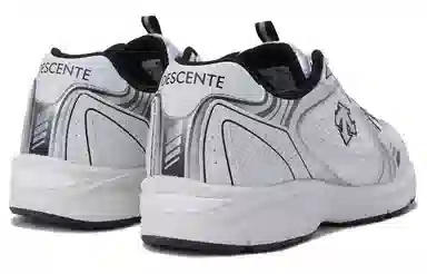 DESCENTE