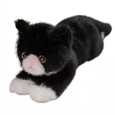 40cm