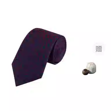 WENSLI 100
