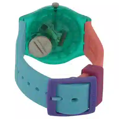 SWATCH ORIGINALS 34mm GG219