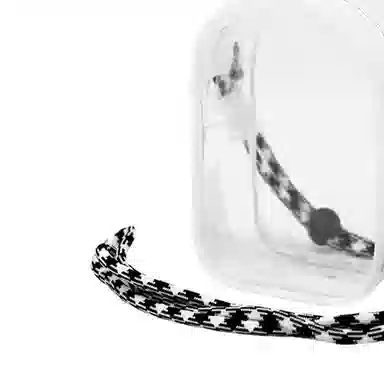 JANE KLAIN 15cmLABUBU PVC