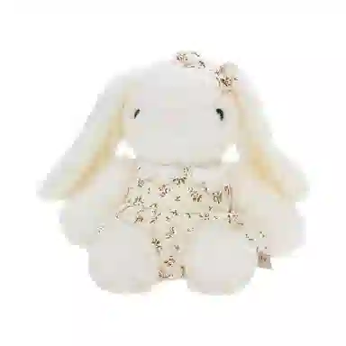 The Green Party 23cm32cm