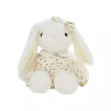 The Green Party 23cm32cm