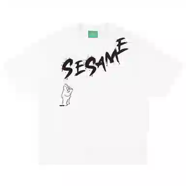SESAME STREET T