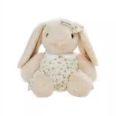 The Green Party 23cm32cm