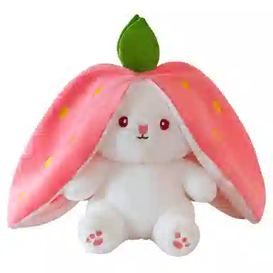 25cm35cm
