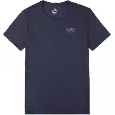 361 T )