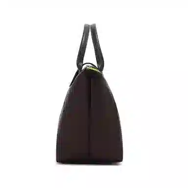 LONGCHAMP Le Pliage Green