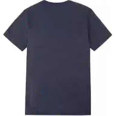 361 T )