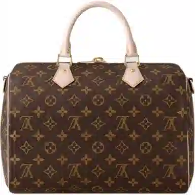 LOUIS VUITTON Speedy Bandoulire 30