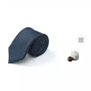 WENSLI 100