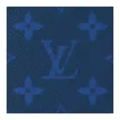 LOUIS VUITTON Pochette Voyage