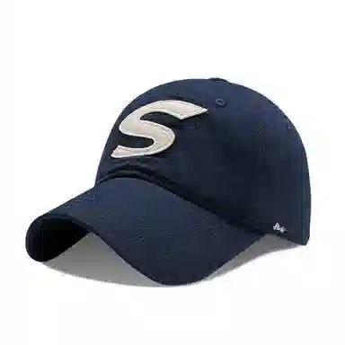 PLAN IN S