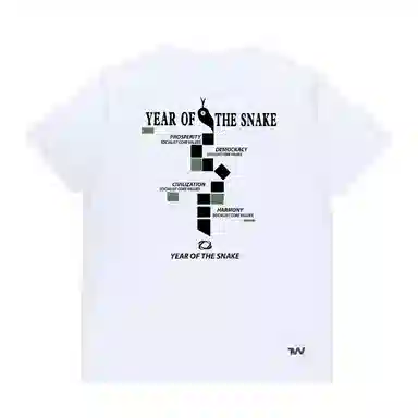 Under Armour T
