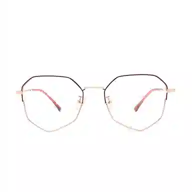 Sagawa Polygon Titanium Eyeglasses Frame