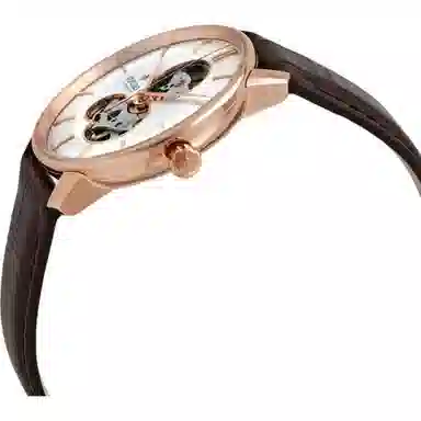 Rado R22895025