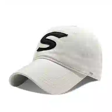 PLAN IN S