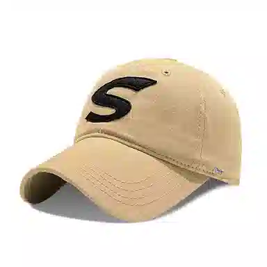 PLAN IN S