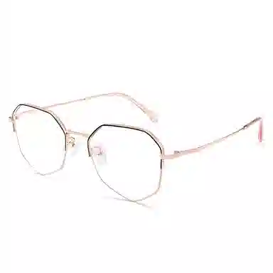 Sagawa Polygon Titanium Eyeglasses Frame