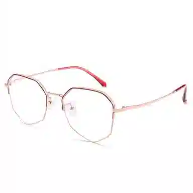 Sagawa Polygon Titanium Eyeglasses Frame