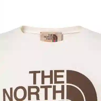 GUCCI x THE NORTH FACE Logo