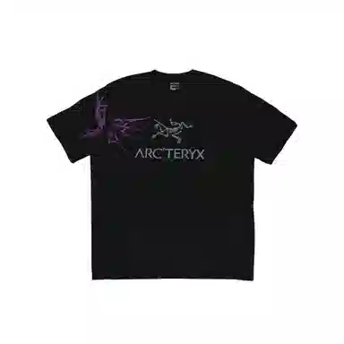 Arcteryx logoT