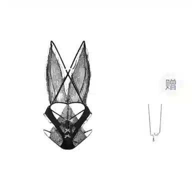 TLXT V