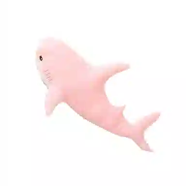 60cm100cm