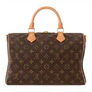 LOUIS VUITTON SPEEDY SOFT 30 Lucky Monogram