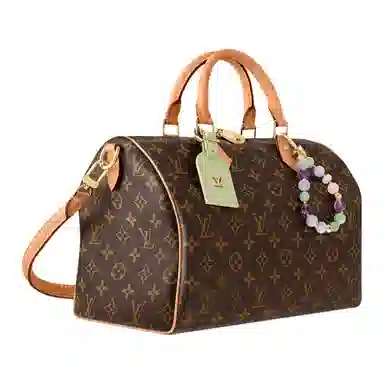 LOUIS VUITTON SPEEDY SOFT 30 Lucky Monogram
