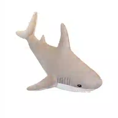 60cm100cm