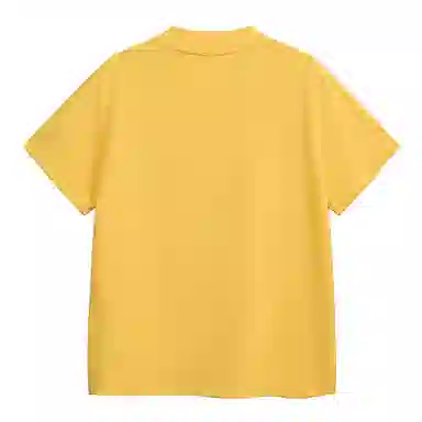 PEA 260Gchic T