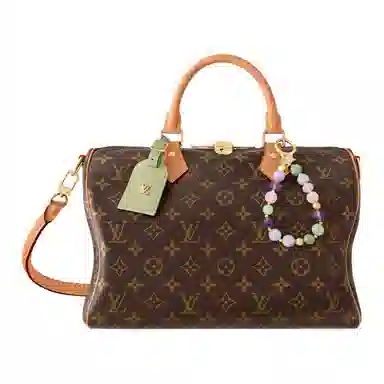 LOUIS VUITTON SPEEDY SOFT 30 Lucky Monogram