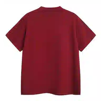 PEA 260Gchic T