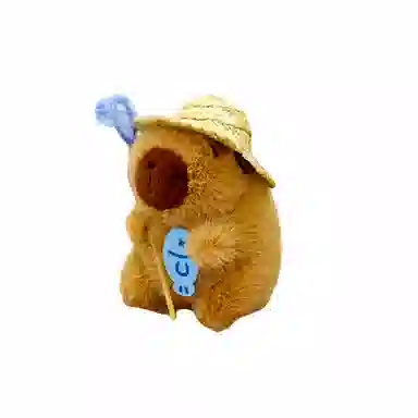 12cm