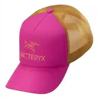 Arcteryx Logo Cap Black