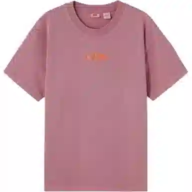 levis T
