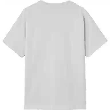 levis T