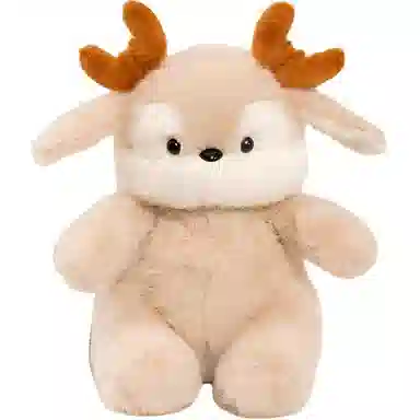 FKOFR 30cm40cm