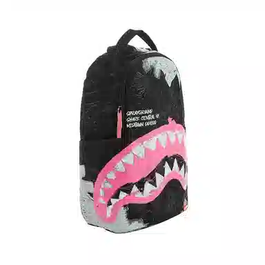 Sprayground