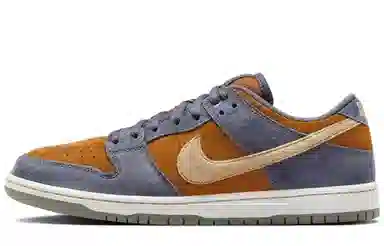 Nike Dunk SB LOW "Light Carbon" Vibe