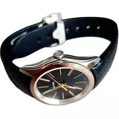 RADO 50 31.5mm R32976155