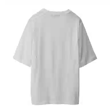 North Latitude30 T 1