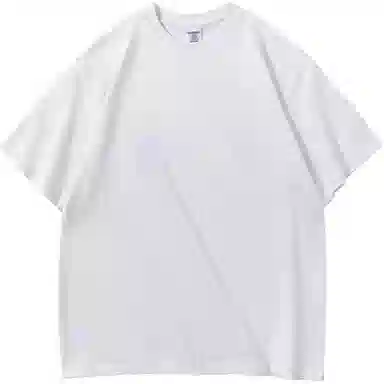 ZIAREL T
