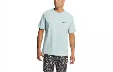 patagonia Responsibili-Tee Logo T
