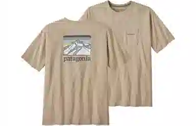 patagonia Responsibili-Tee Logo T