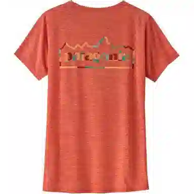 patagonia T